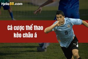 Cá cược thể thao kèo châu Á - Hướng dẫn soi kèo tại HELLO88