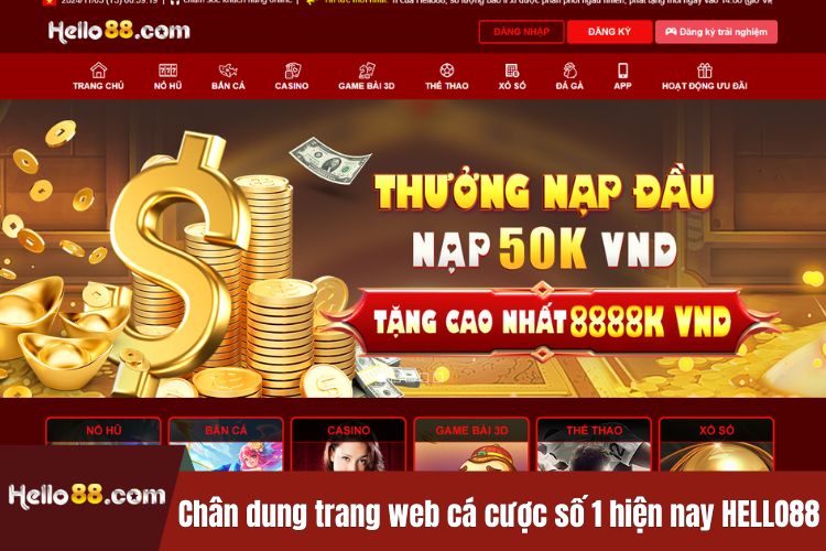 Chân dung trang web cá cược số 1 hiện nay HELLO88