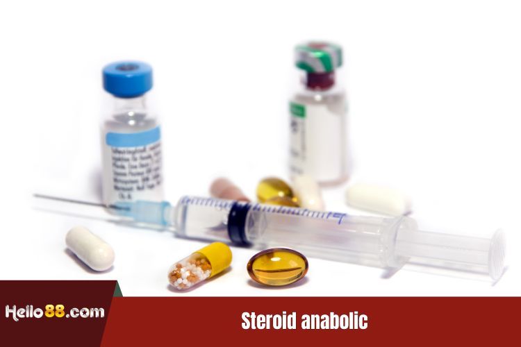 Steroid anabolic